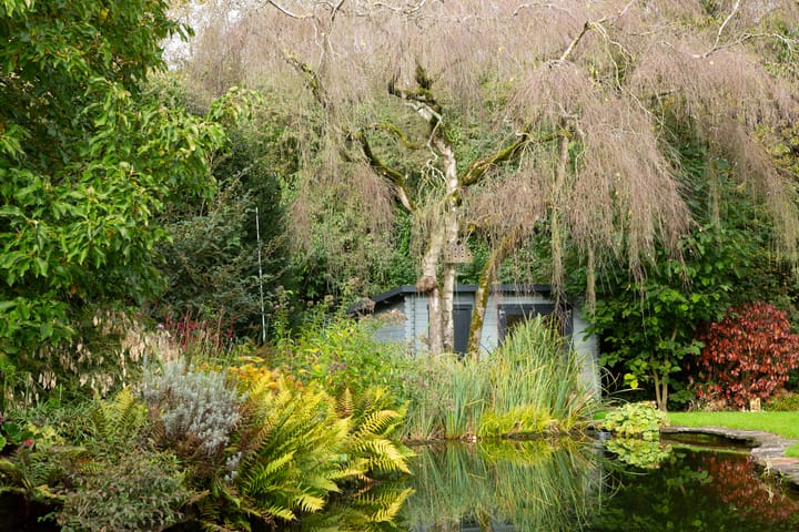 Foto 70 van van Raesfeltstraat 37