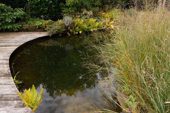 Foto 71 van van Raesfeltstraat 37