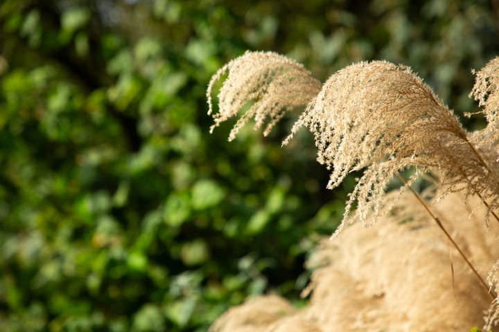 Foto 76 van van Raesfeltstraat 37