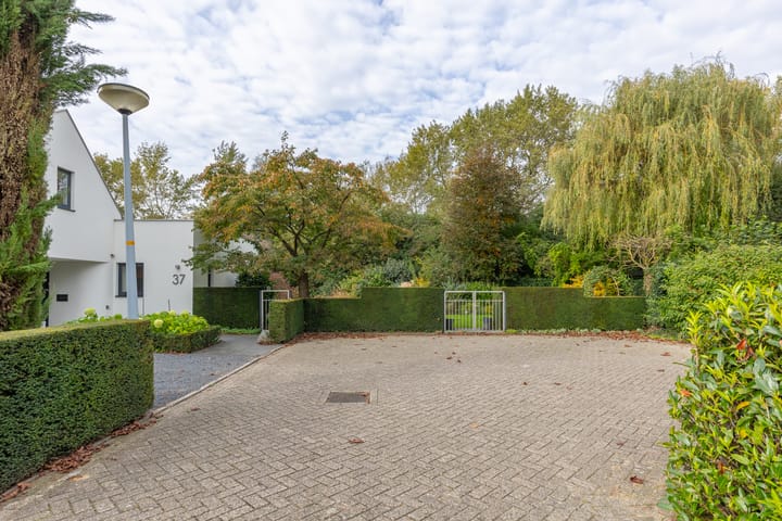 Foto 79 van van Raesfeltstraat 37