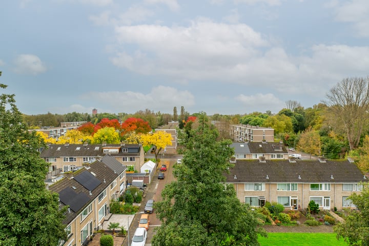 View photo 28 of Schipbeekstraat 90