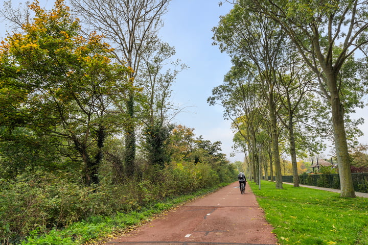 Bekijk foto 30 van Othelloweg 333