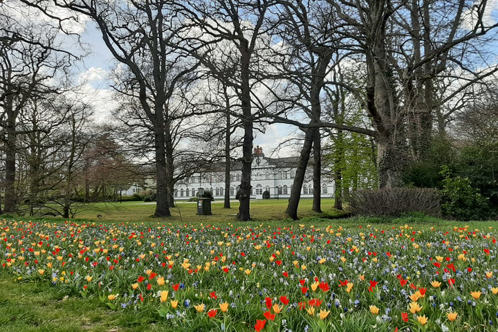 Bekijk foto 44 van Benvenutolaan 5