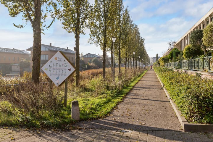 Foto 41 van P.C.Boutensstraat 41