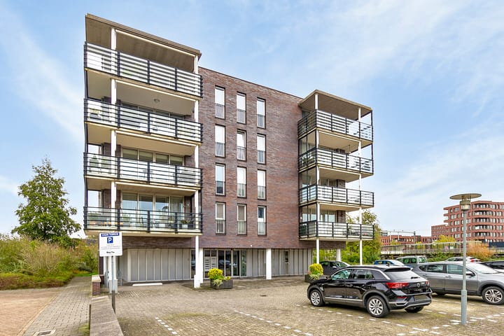 Foto 8 van Yellowstone 74