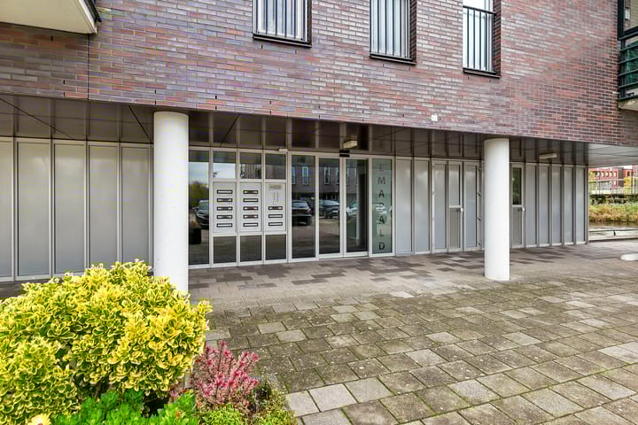 Foto 9 van Yellowstone 74