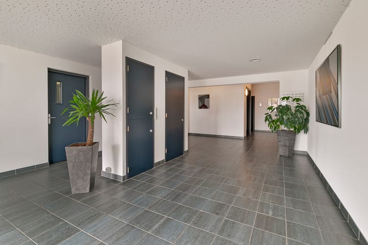 Foto 11 van Yellowstone 74