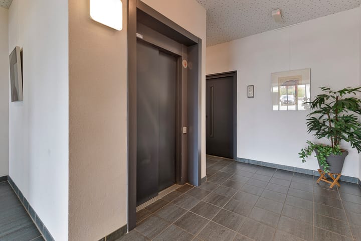 Foto 12 van Yellowstone 74