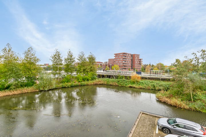 Foto 29 van Yellowstone 74