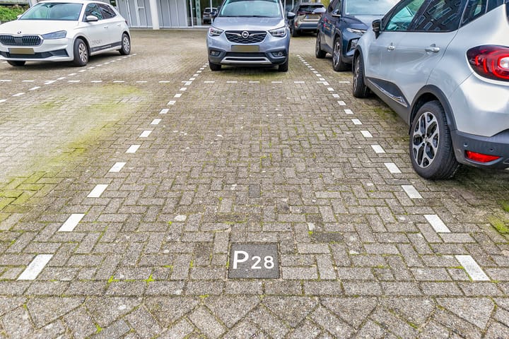 Foto 32 van Yellowstone 74