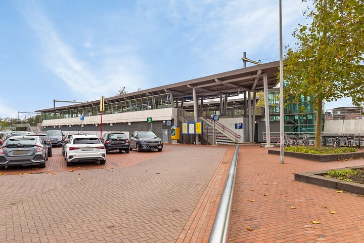 Foto 34 van Yellowstone 74