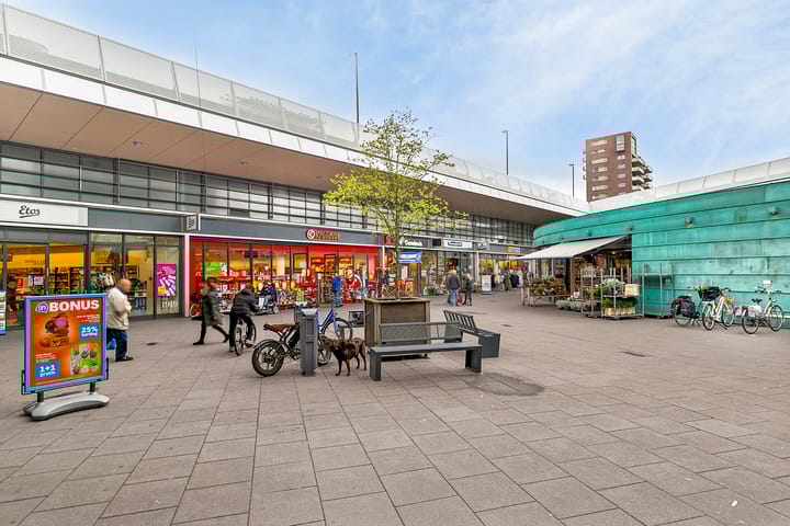 Foto 35 van Yellowstone 74