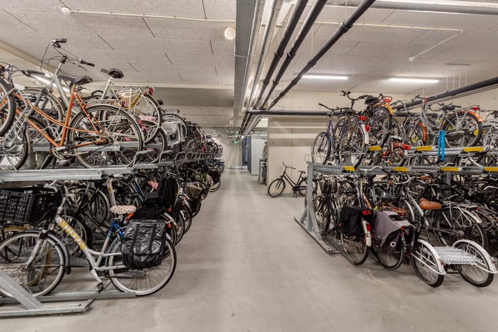 Foto 30 van IJdok 113