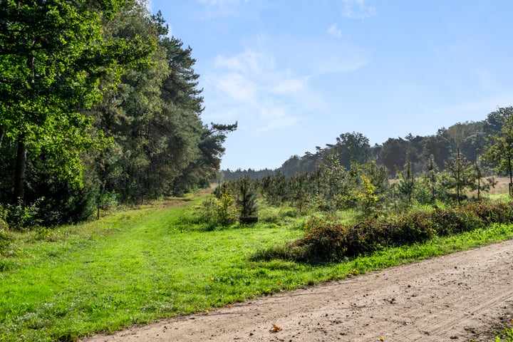 View photo 13 of Bosbeekweg 1