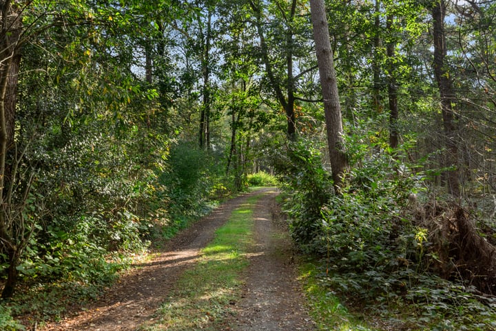 View photo 16 of Bosbeekweg 1