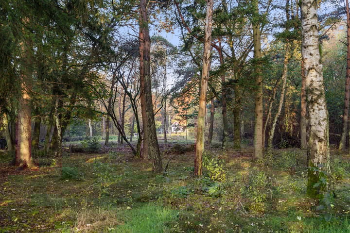 Foto 29 van Bosbeekweg 1