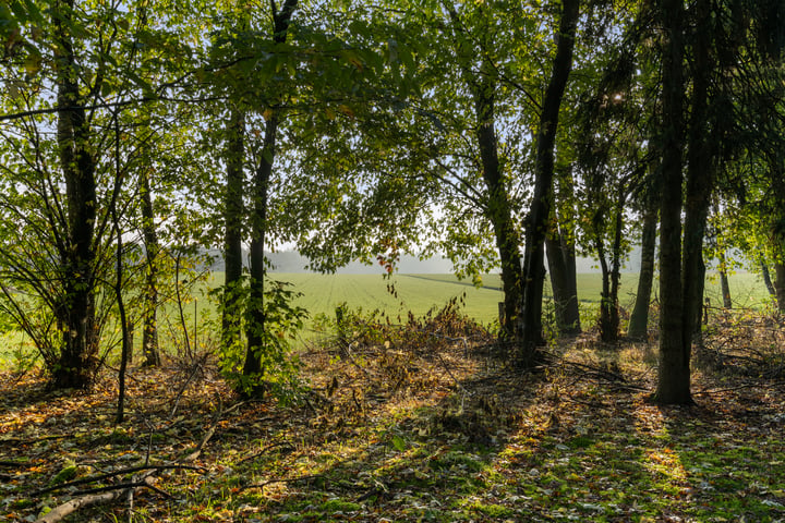 View photo 31 of Bosbeekweg 1