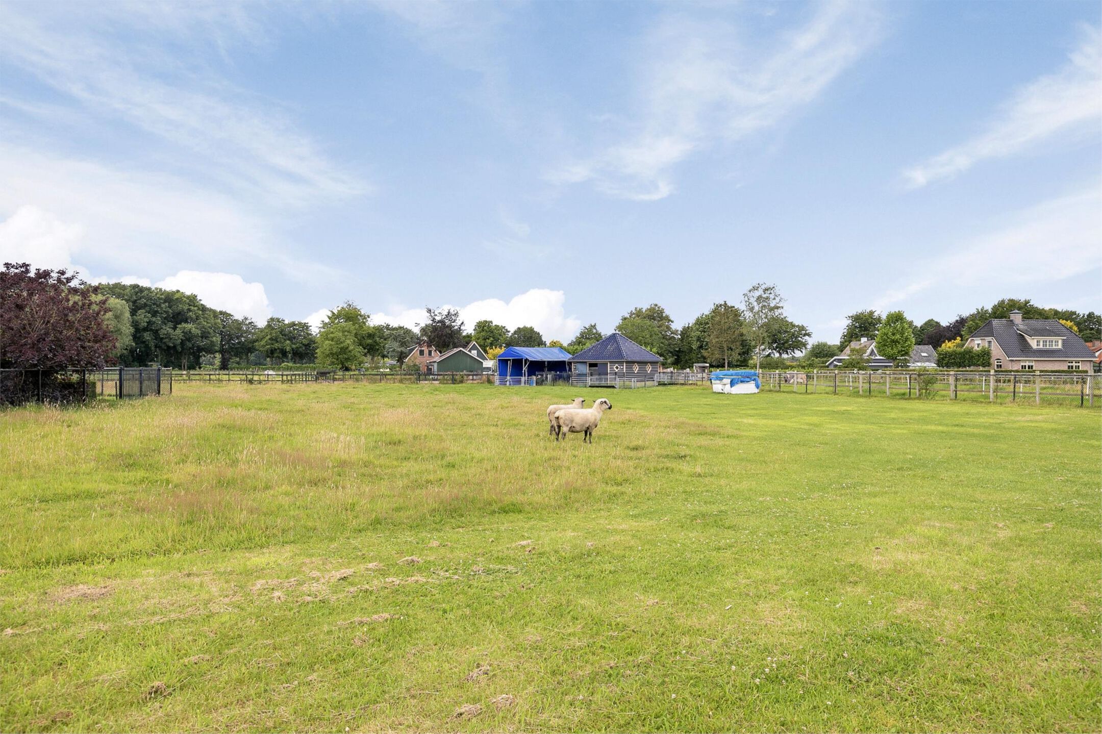 Photo 51 of Driestweg 4