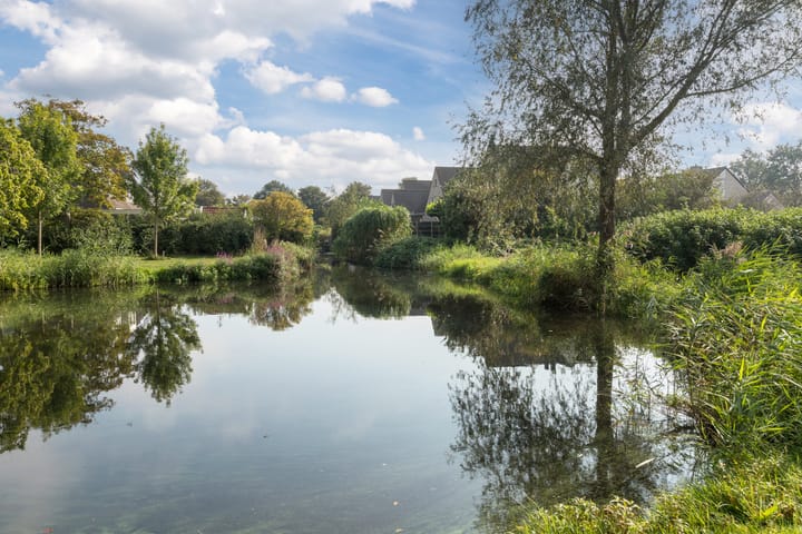 Foto 46 van Prunuslaan 31