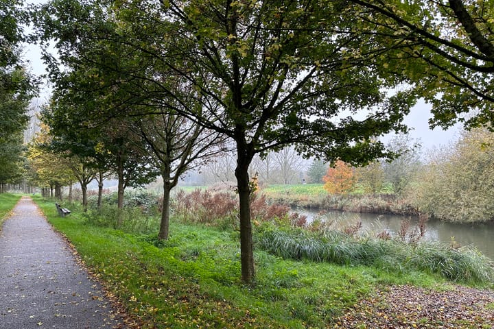 Photo 37 of Seychellen 42