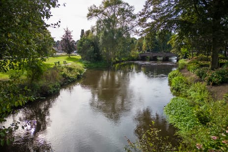 Borchmolendijk 31 secondary image