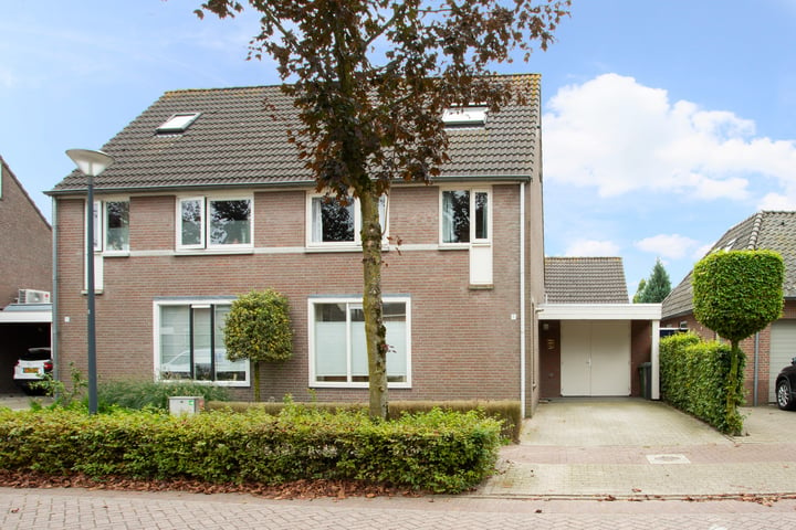 Bekijk foto 1 van Zandhorst 9