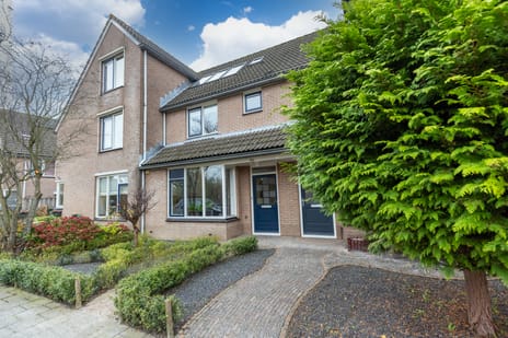 undefined main image