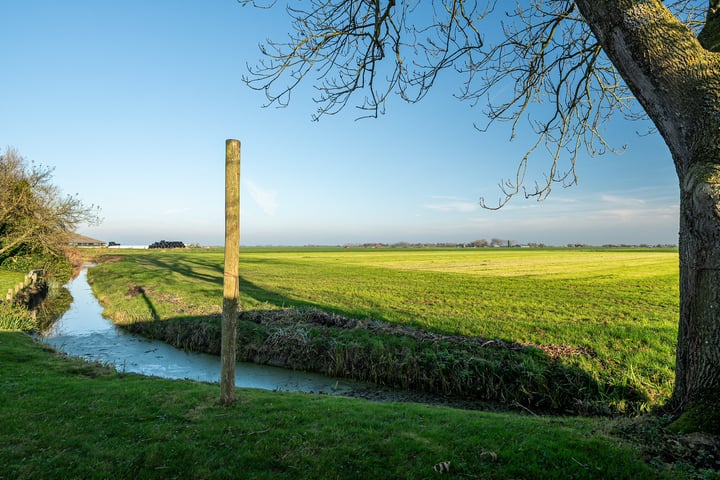 Bekijk foto 38 van Buorren 19