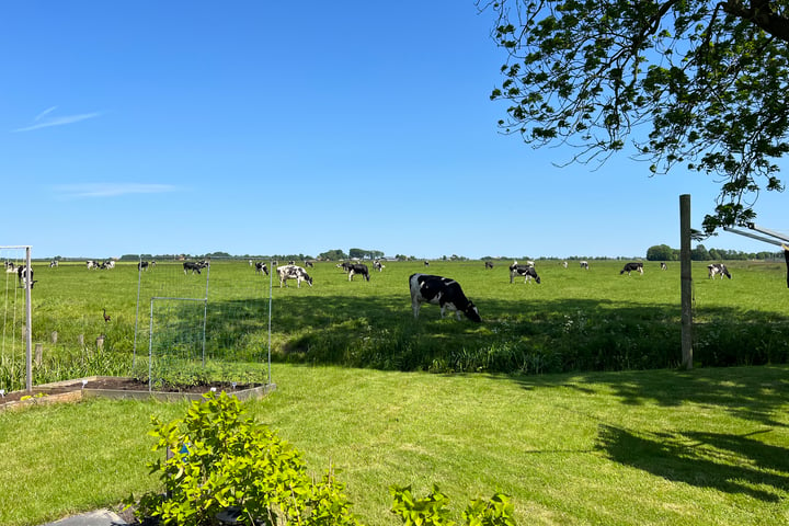 Bekijk foto 40 van Buorren 19