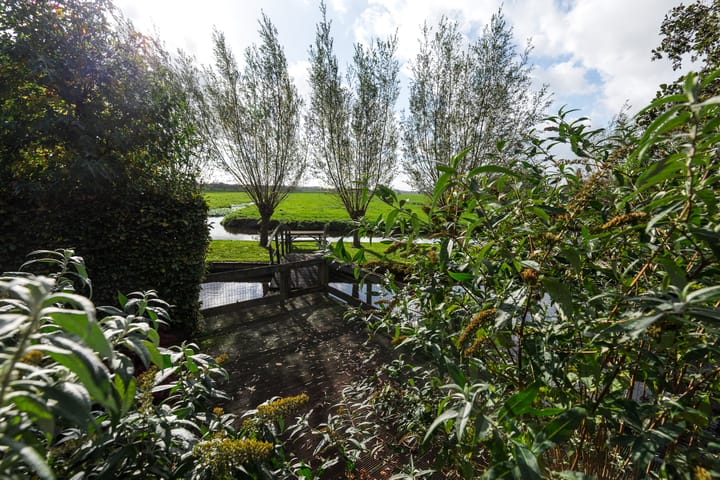 Foto 5 van Burgemeester Topstraat 18