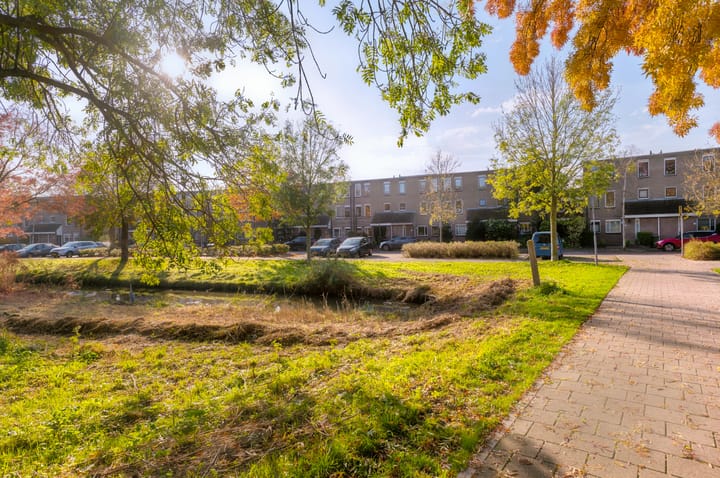 Foto 5 van Goedendorplaan 48