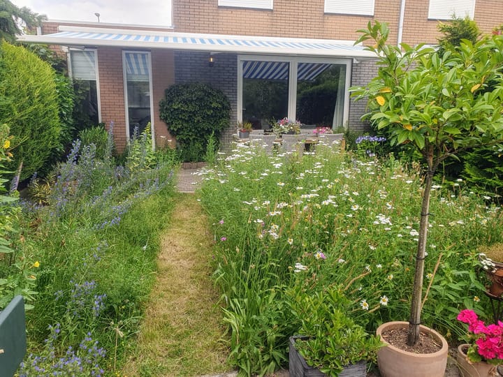 Foto 39 van Jan Beyerinckstraat 13