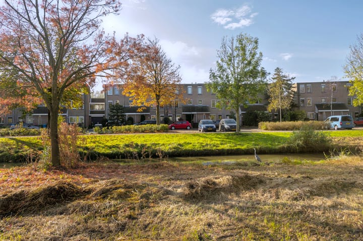 Foto 56 van Goedendorplaan 48