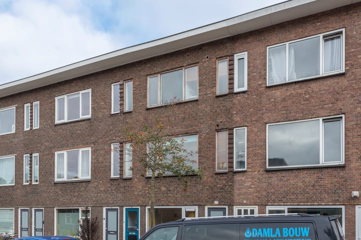 Foto 2 van Laan van Nieuw-Guinea 27-BSA