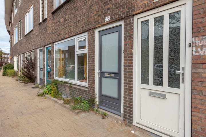 Foto 3 van Laan van Nieuw-Guinea 27-BSA