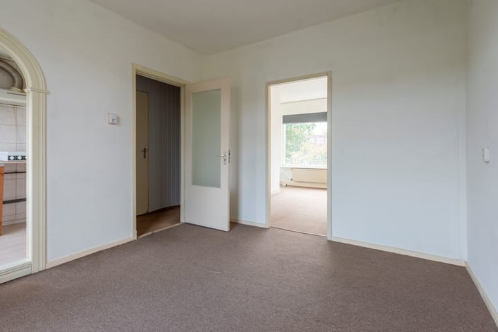 Foto 9 van Laan van Nieuw-Guinea 27-BSA