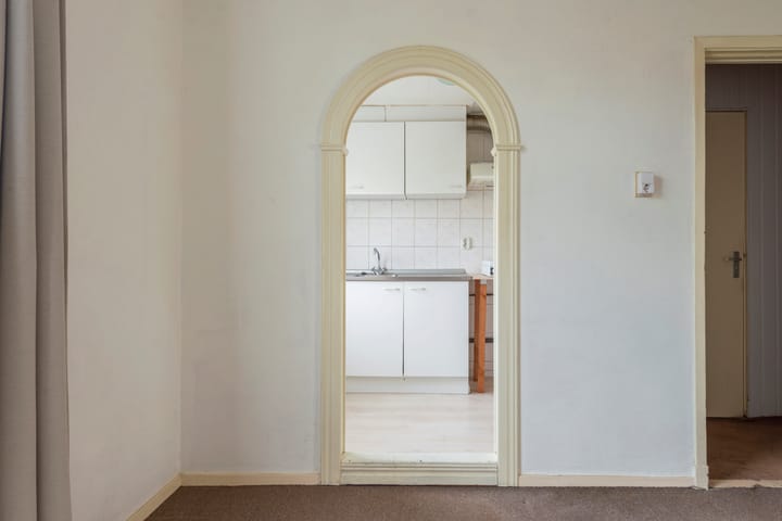 Foto 11 van Laan van Nieuw-Guinea 27-BSA