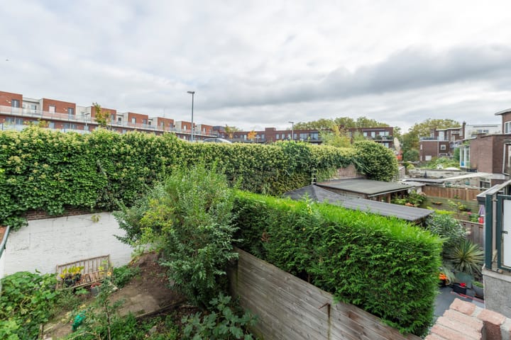 Foto 22 van Laan van Nieuw-Guinea 27-BSA