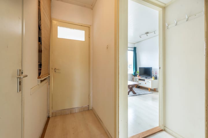 Foto 25 van Laan van Nieuw-Guinea 27-BSA