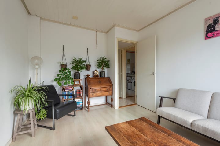 Foto 28 van Laan van Nieuw-Guinea 27-BSA