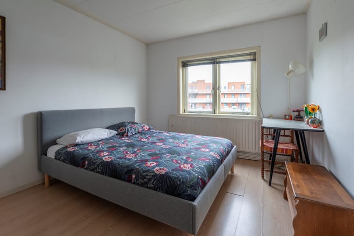 Foto 34 van Laan van Nieuw-Guinea 27-BSA