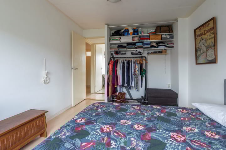 Foto 35 van Laan van Nieuw-Guinea 27-BSA