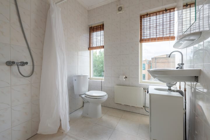 Foto 36 van Laan van Nieuw-Guinea 27-BSA