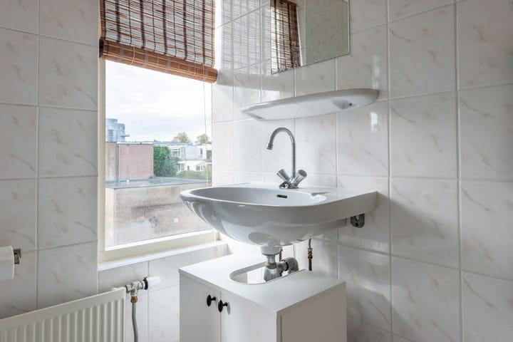 Foto 37 van Laan van Nieuw-Guinea 27-BSA