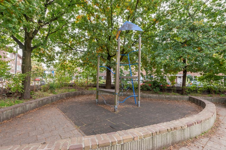 Foto 39 van Laan van Nieuw-Guinea 27-BSA