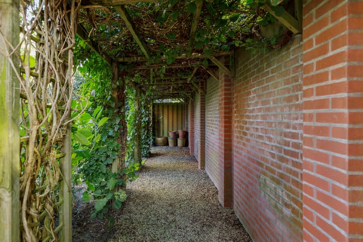 Foto 42 van Maïsveld 84