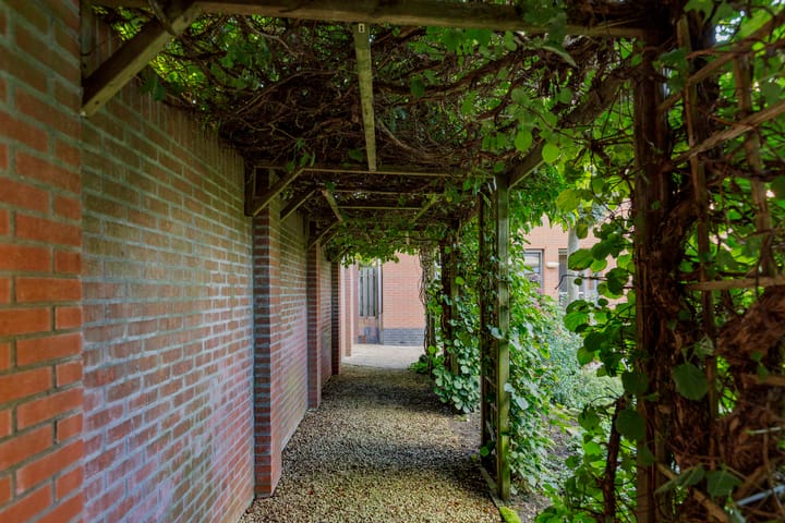 Foto 43 van Maïsveld 84