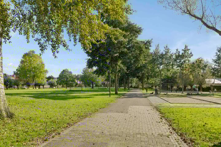 Foto 49 van Maïsveld 84