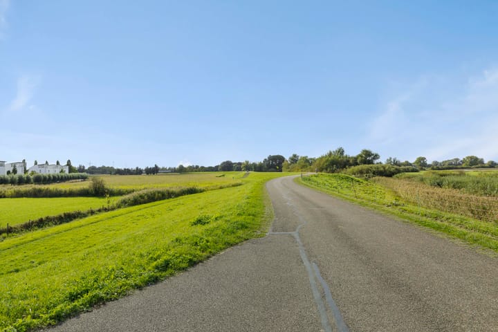 Foto 50 van Maïsveld 84