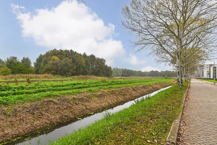 Bekijk foto 2 van Buizerdlaan 111